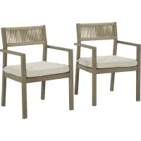 Signature Design by Ashley® Aria Plains 2-Piece Brown Arm Chair With Cushion Set