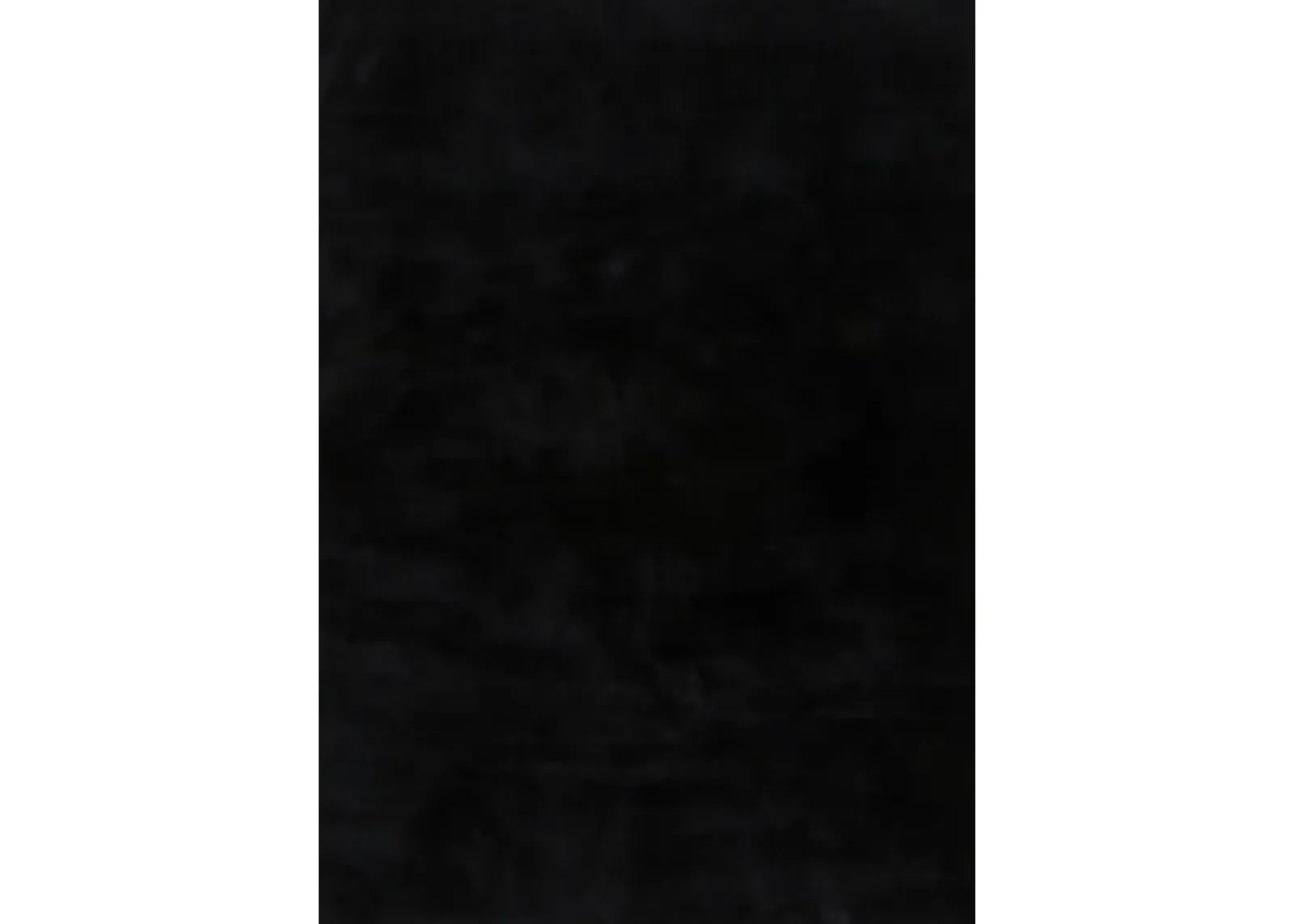 Signature Design by Ashley® Annaben Black 5'x7' Rectangular Area Rug