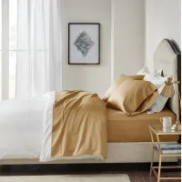Olliix by Madison Park 600 Thread Count Gold Queen 100% Pima Cotton Sheet Set