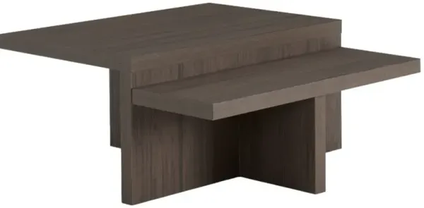 Signature Design by Ashley® Zendex 2-Piece Dark Brown Occasional Table Set
