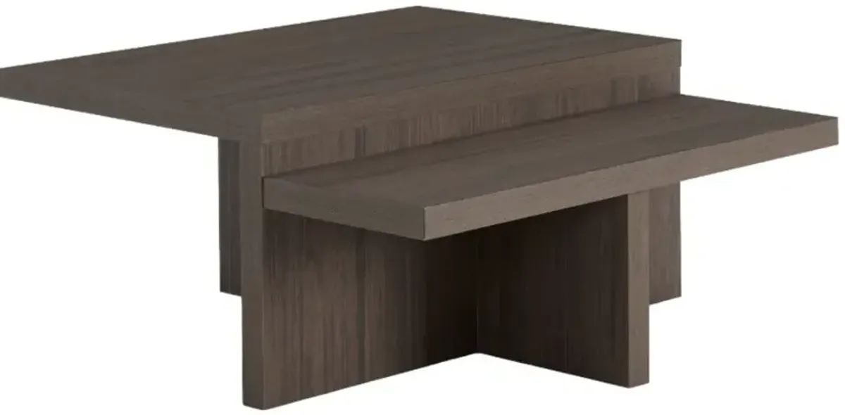 Signature Design by Ashley® Zendex 2-Piece Dark Brown Occasional Table Set