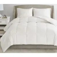 Olliix True North by Sleep Philosophy White Twin All Season Warmth Oversized Cotton Down Comforter