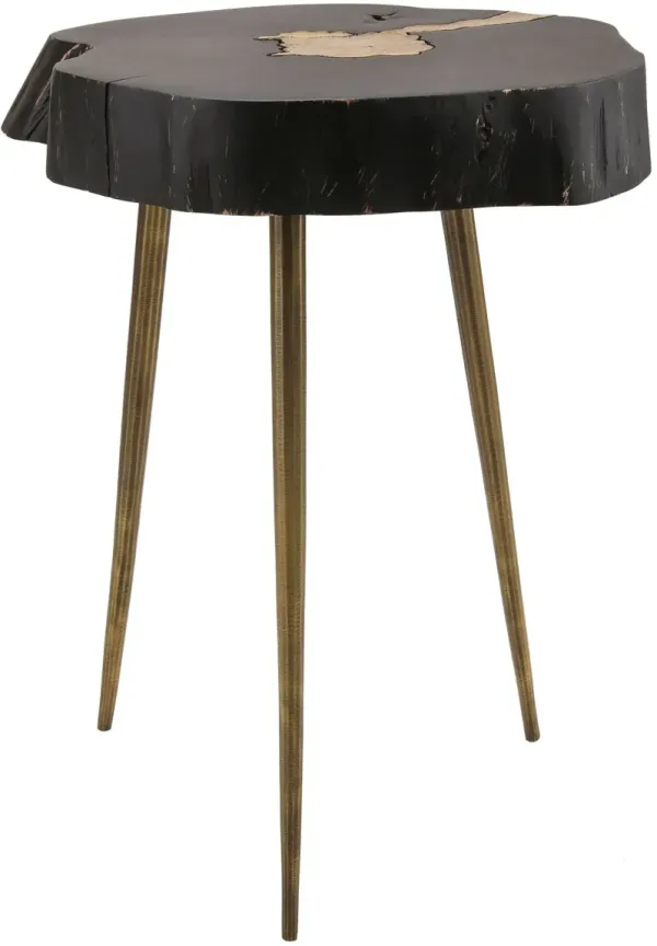 TOV Furniture Timber Black and Brass Side Table