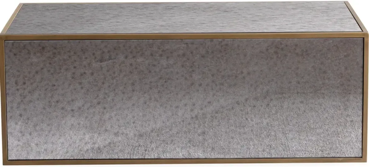 TOV Furniture by Inspire Me Home Decor Mirrored Lana Coffee Table