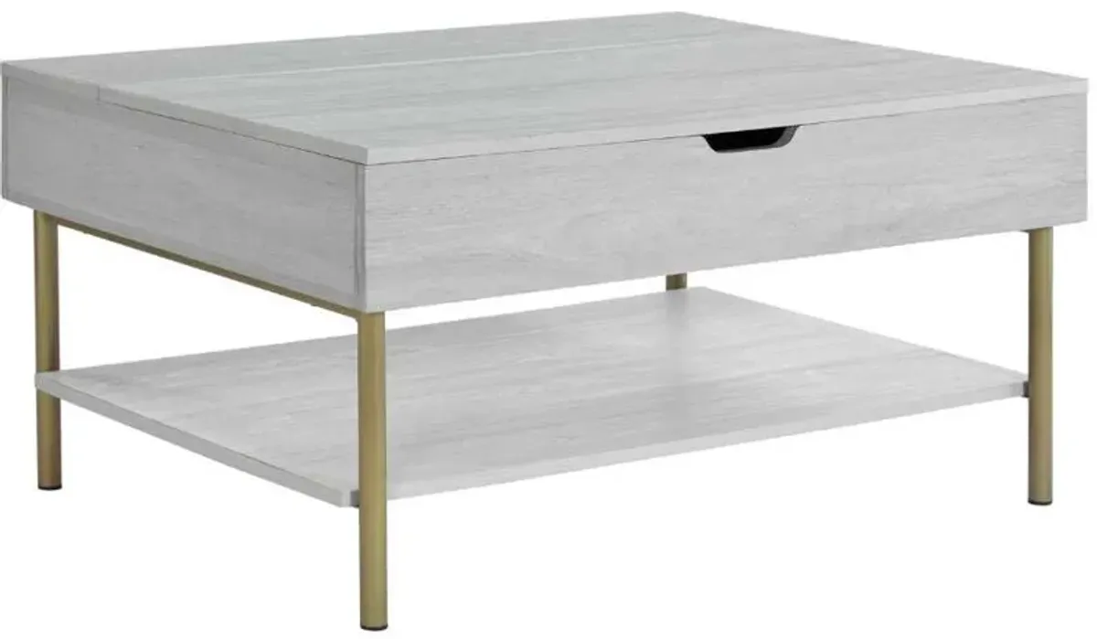 Steve Silver Co. Whitman Weathered White Lift-Top Cocktail Table with Champagne Base