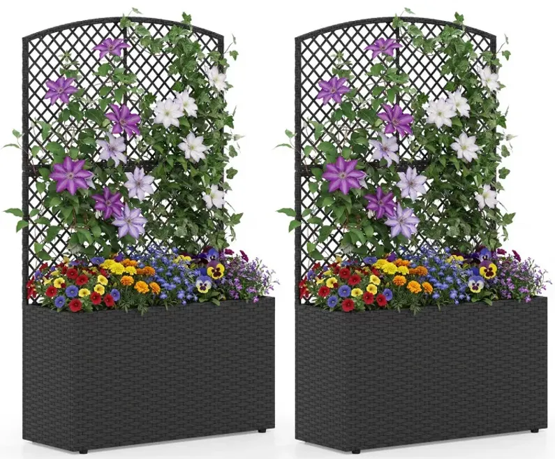 Set of 2 49 Inch Raised Garden Bed with Trellis and Wicker Planter Box