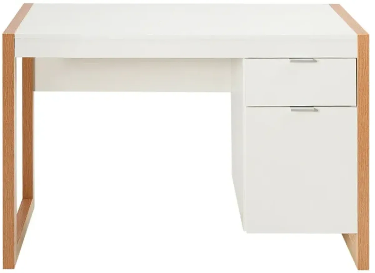 Modern Computer Desk Writing Workstation with Cabinet and Drawer