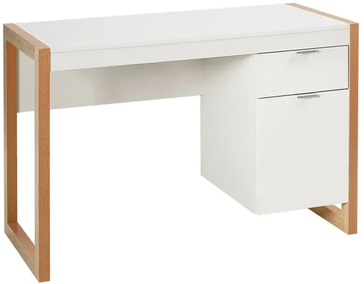 Modern Computer Desk Writing Workstation with Cabinet and Drawer
