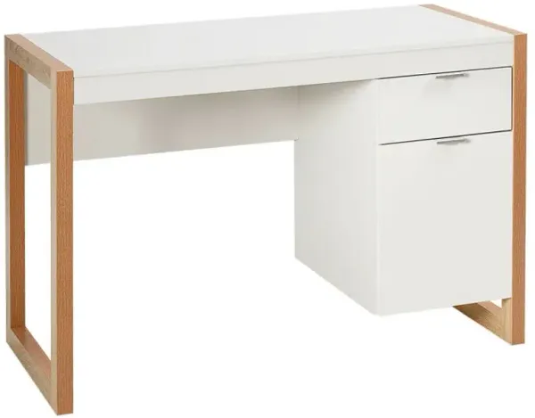 Modern Computer Desk Writing Workstation with Cabinet and Drawer