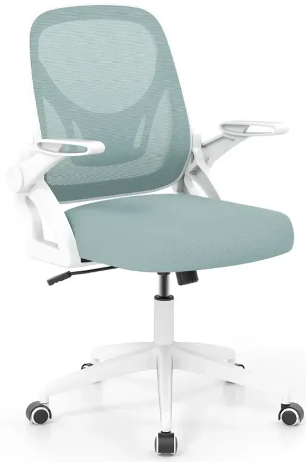 Ergonomic Computer Desk Chair with Lumbar Support and Flip-up Arms