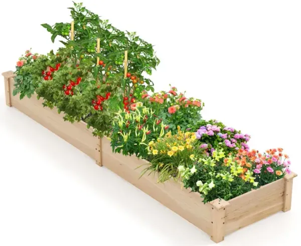 Wooden Raised Garden Bed with 2 Planter Boxes and Dividers