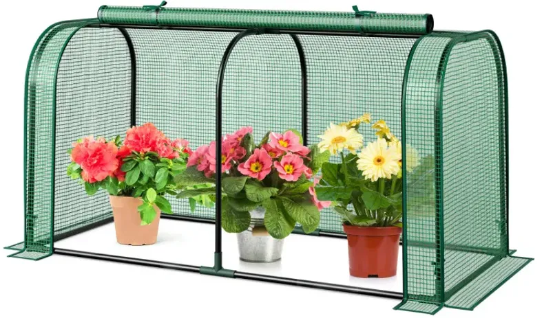 Mini Tunnel Greenhouse with Roll-up Zipper Door