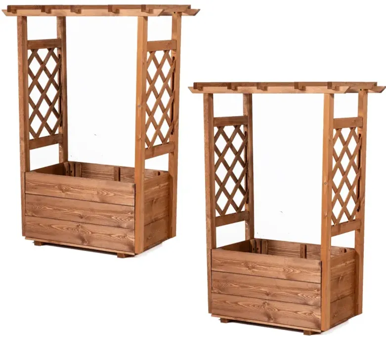 Raised Garden Bed with Lattice Trellises with Hanging Roof Set of 2