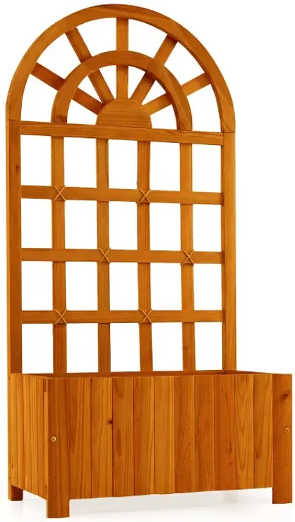 Wooden Raised Garden Bed with Trellis 48 Inch Outdoor Screen