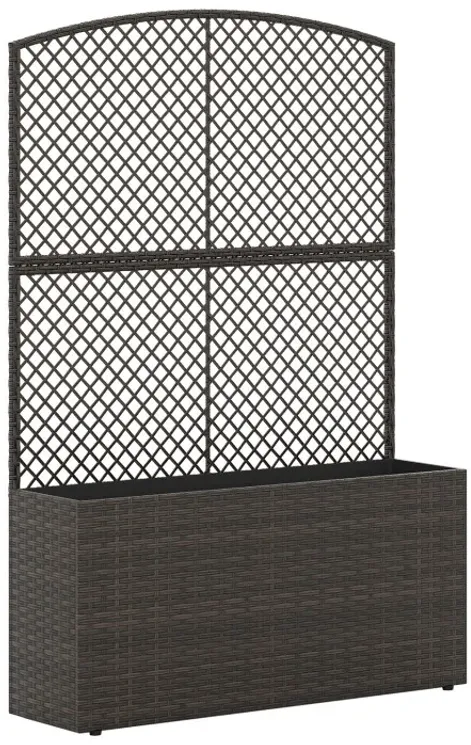 58 Inch Raised Garden Bed with Trellis and Wicker Planter Box