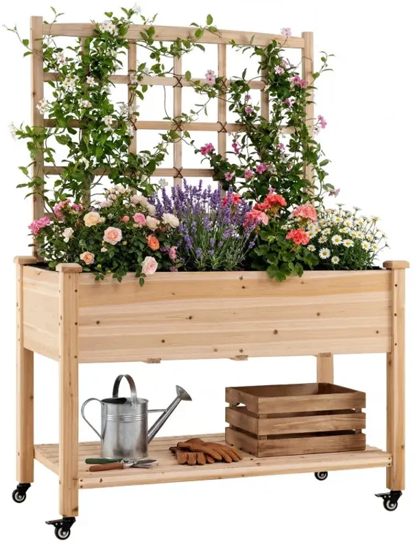 Wooden Mobile Raised Garden Bed on Wheels with Trellis
