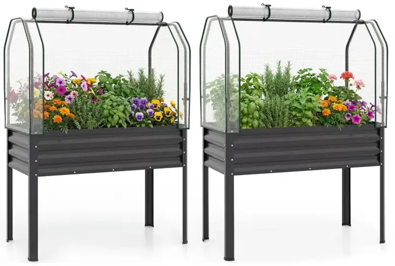 2 Pieces Galvanized Raised Garden Bed with Legs and Greenhouse Cover for Vegetable Flower