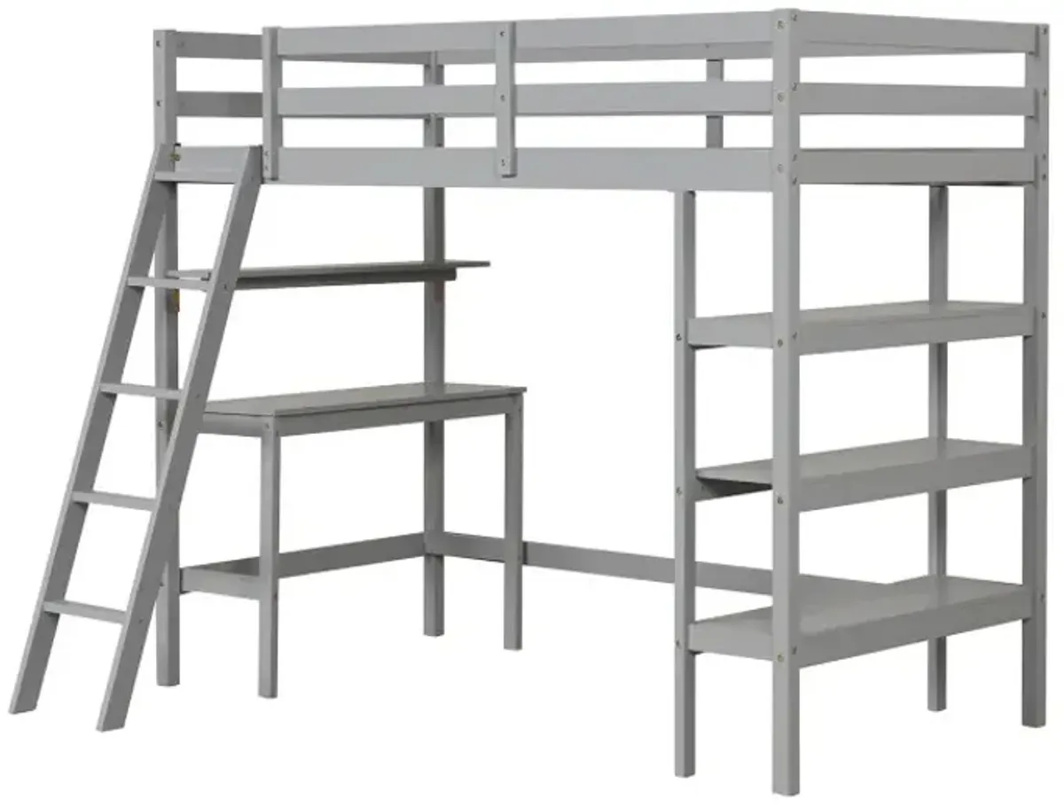 Twin Size Loft Bed with Desk and Bookshelves for Kids and Teens