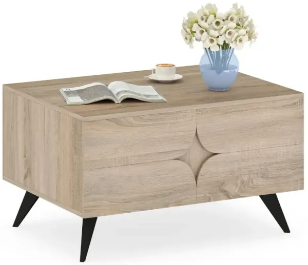 Farmhouse Accent Modern Coffee Table with Storage for Living Room Bedroom