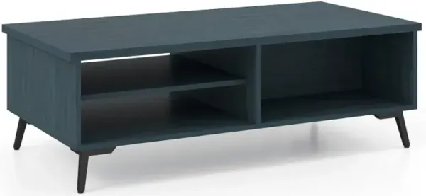 2-Tier Mid Century Modern Coffee Table with Storage Shelves Compartments