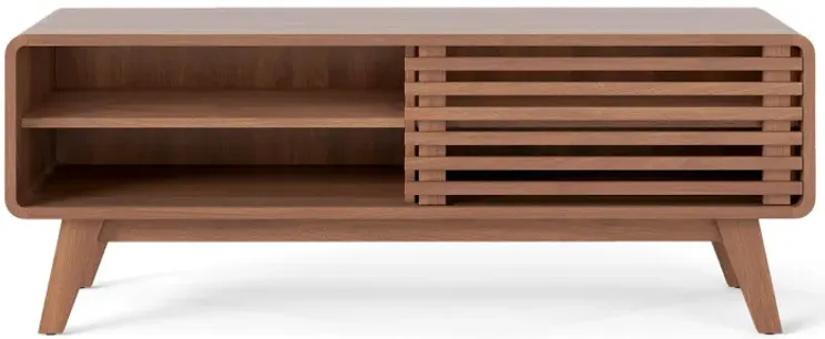 TV Stand for TVs up to 55" with Sliding Door and Adjustable Shelves for Living Room