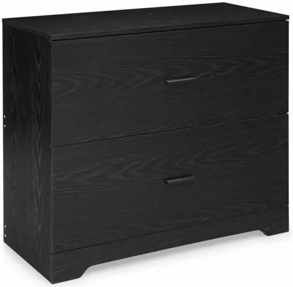 2-Drawer Lateral File Cabinet with Adjustable Hanging Bars for Home and Office