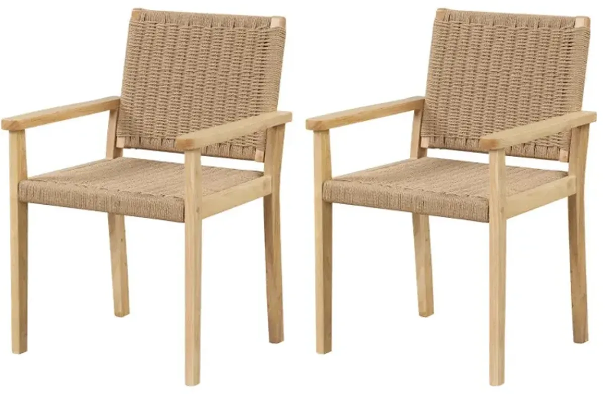 Indoor Outdoor Wood Chair Set of 2