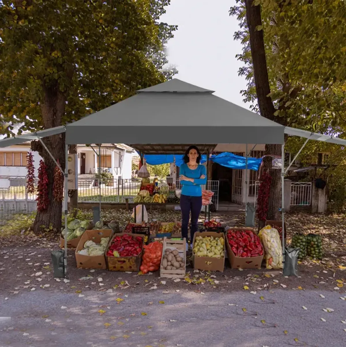 10 x 17.6 Feet Outdoor Instant Pop-up Canopy Tent with Dual Half Awnings