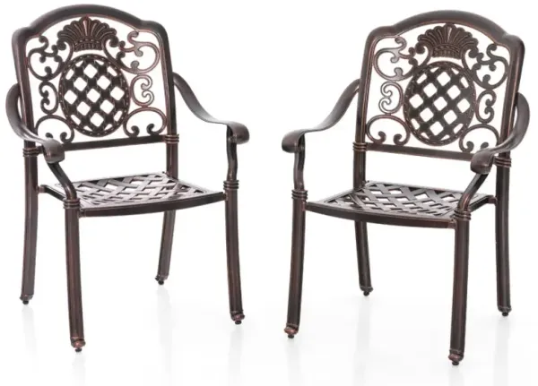Patio Cast Aluminum Dining Chairs Set of 2 Metal Armchairs Stackable