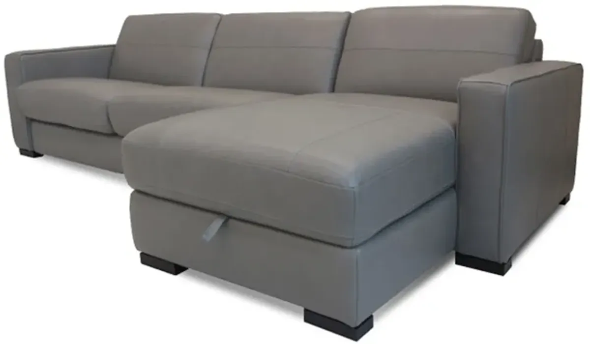 2 Piece Sleep Sectional