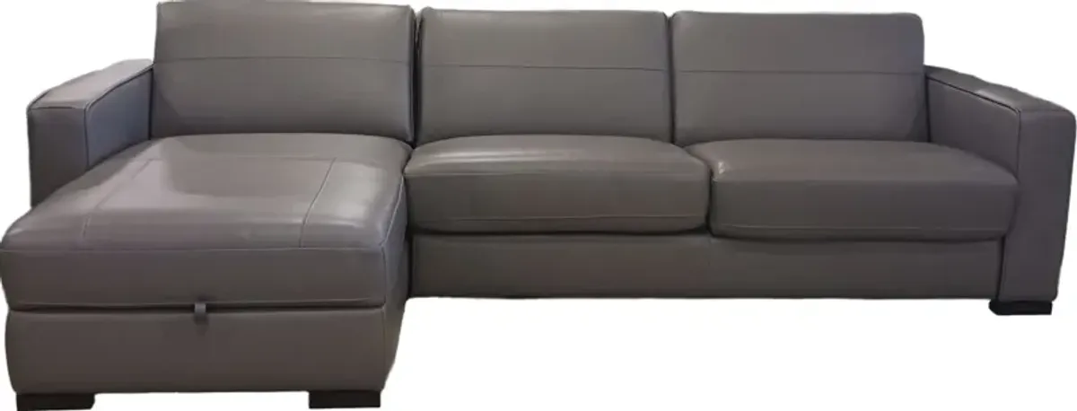 2 Piece Sleep Sectional