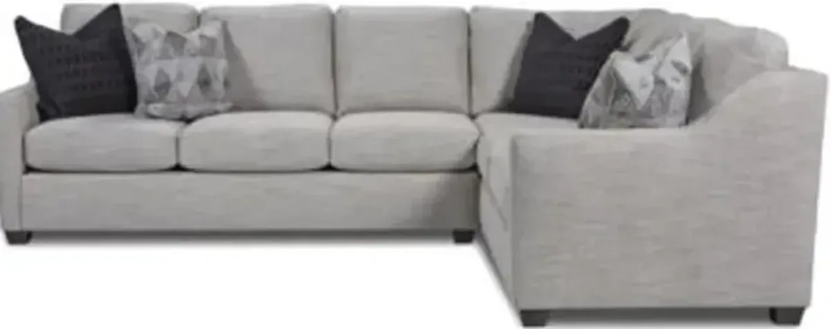 2 Piece Sectional