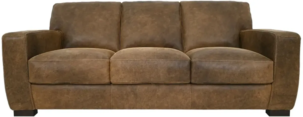 Sofa & Loveseat