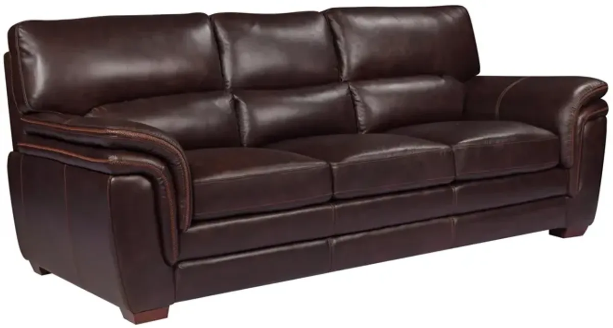 Coaster Sofa