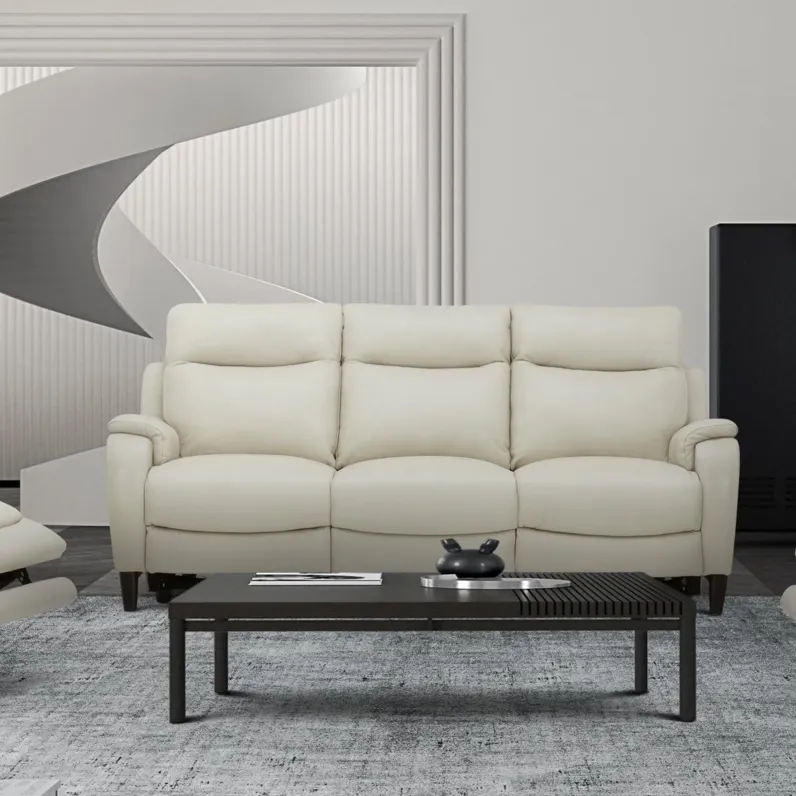 Power Reclining Sofa With Power Headrest