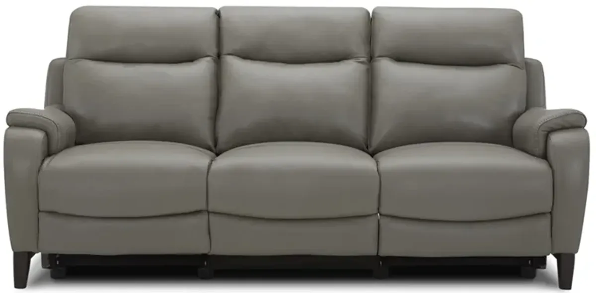 Power Reclining Sofa With Power Headrest