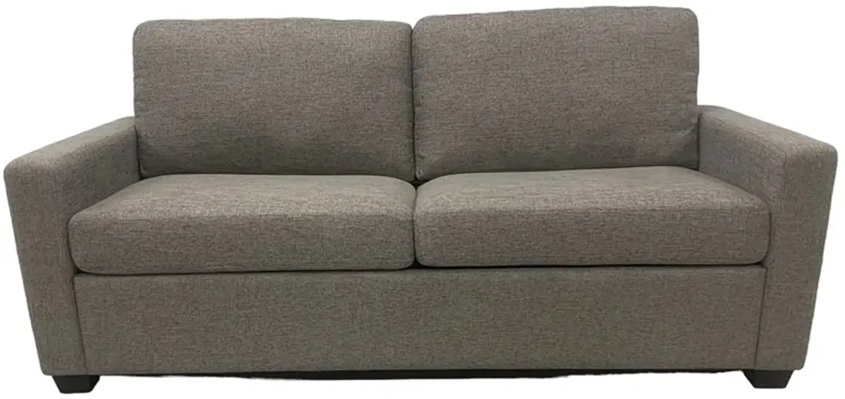 Twin Sleeper Sofa