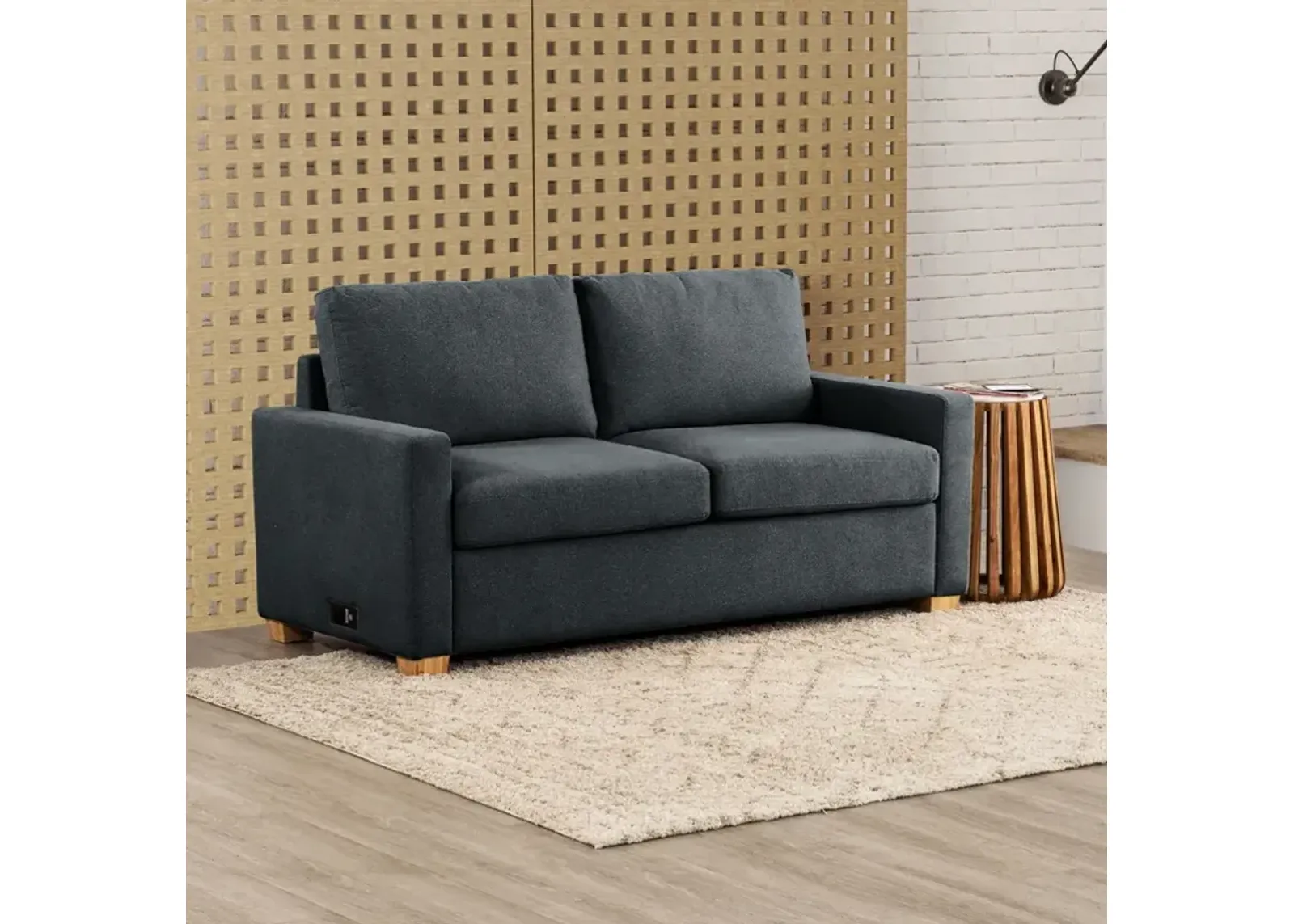 Twin Sleeper Sofa