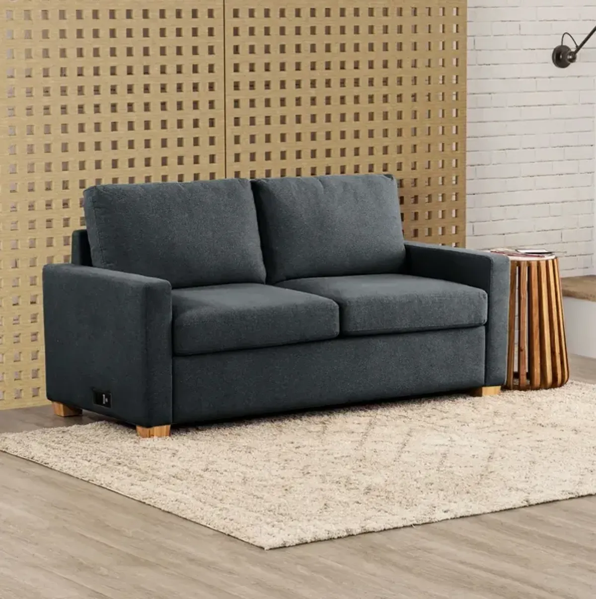 Twin Sleeper Sofa