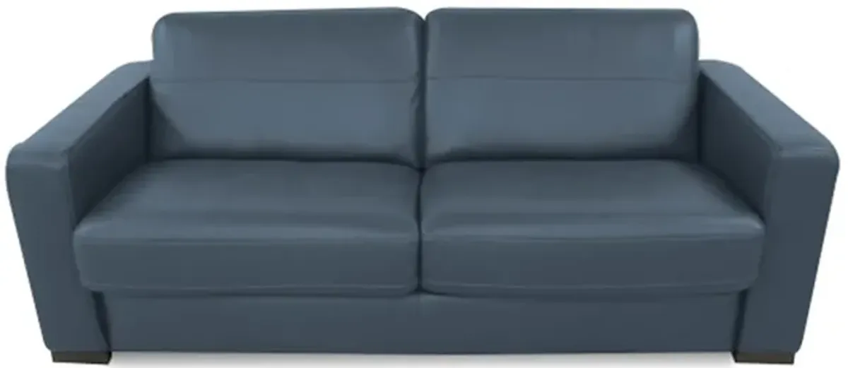 Sleeper Sofa