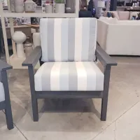 Arm Chair With Cushion