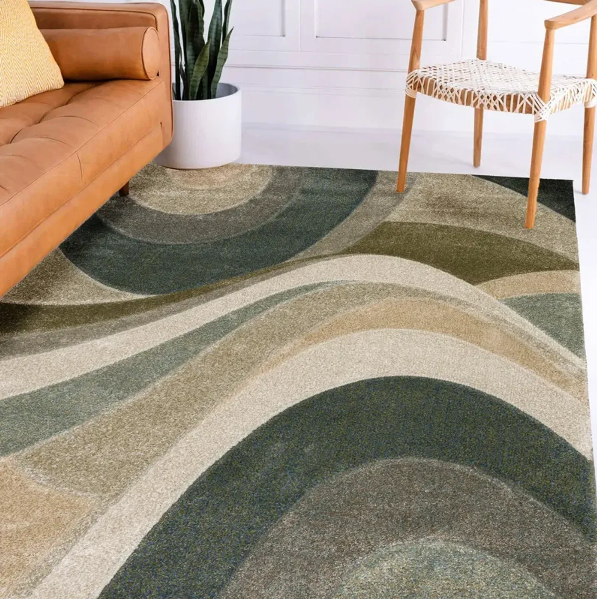 Area Rug