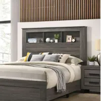 Queen Bed Bookcase Bed