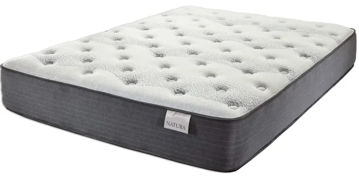 Foxhorn II Plush Twin Mattress