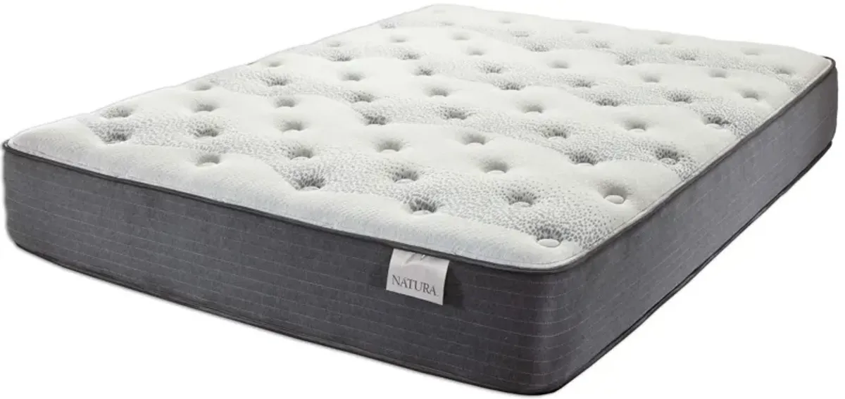 Bretton Plush Twin Mattress