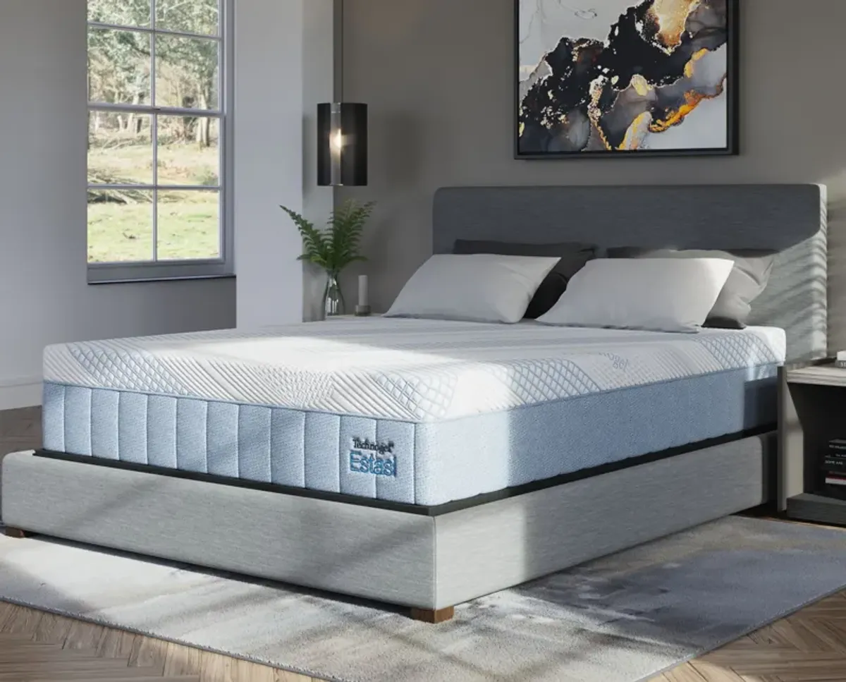 Queen Mattress