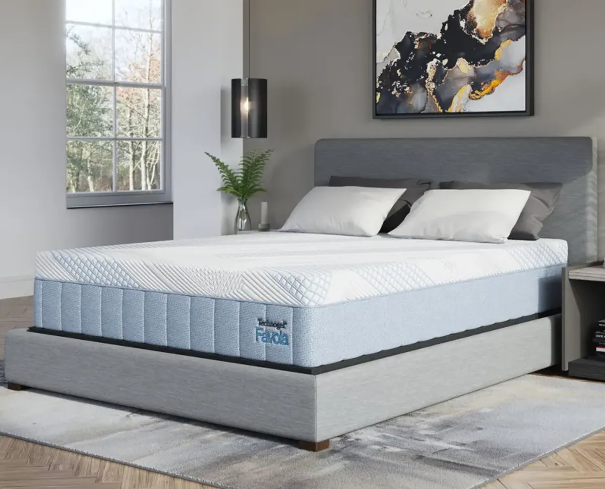 Queen Mattress