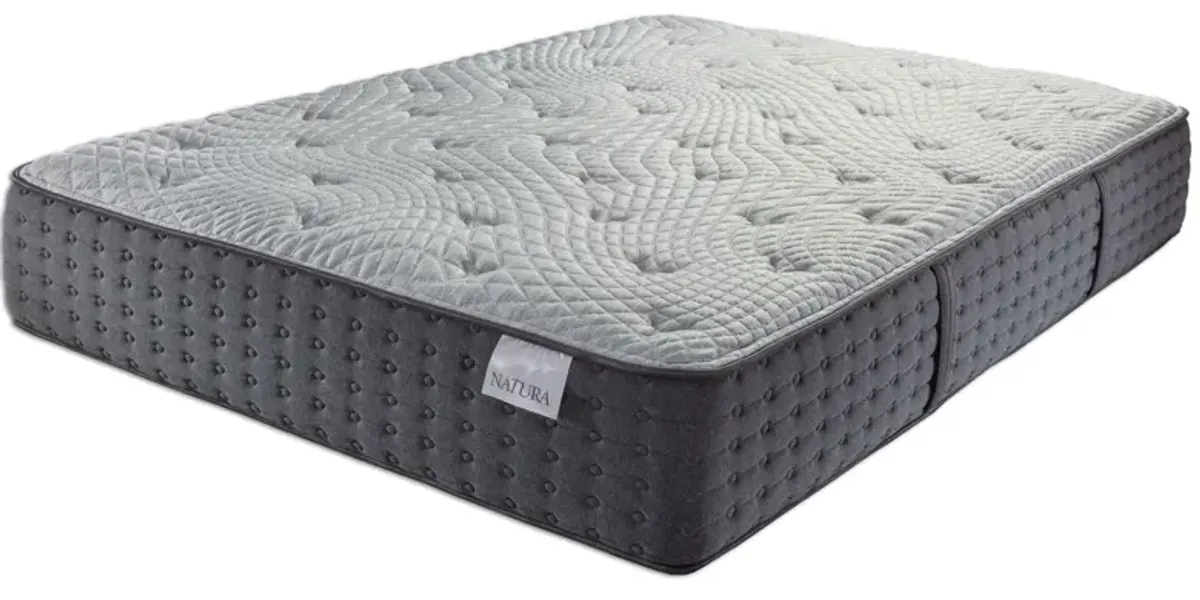 Angeline II Plush Queen Mattress
