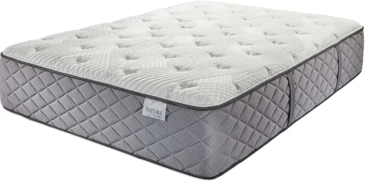 Caldwell Plush Queen Mattress