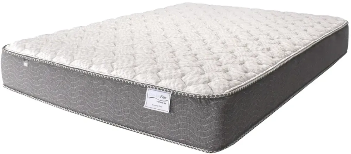 Evolution Firm Queen Mattress